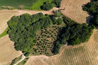 Bird's Eye View of an Agricultural Land