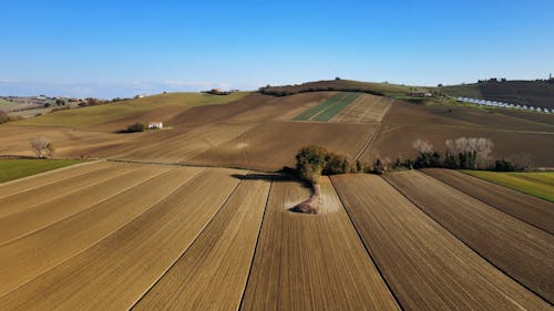 Free คลังภาพถ่ายฟรี ของ การเกษตร, ชนบท, ทางอากาศ Stock Photo