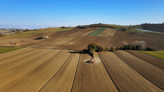Brown Field Under Blue Sky
