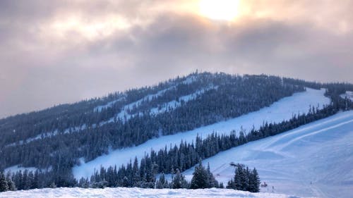 Бесплатное стоковое фото с гора, зимний парк, колорадо