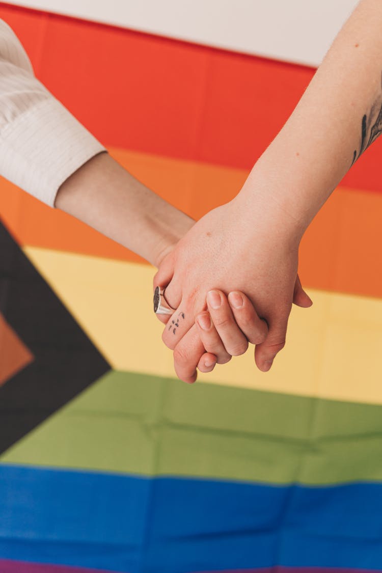 Holding Hands Against Progress Pride Flag