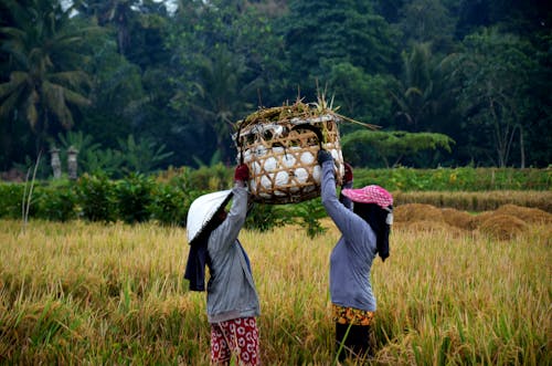 Women Carrying a Woven Basket