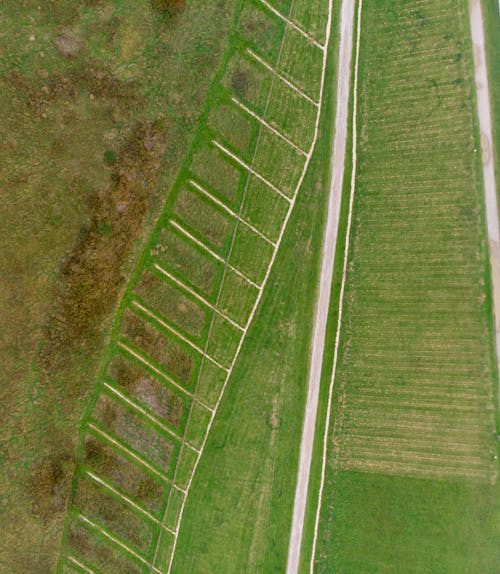 An Aerial Shot of a Field