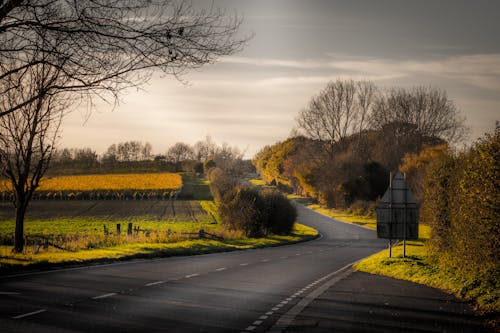 アスファルト道路, 木, 田舎の無料の写真素材