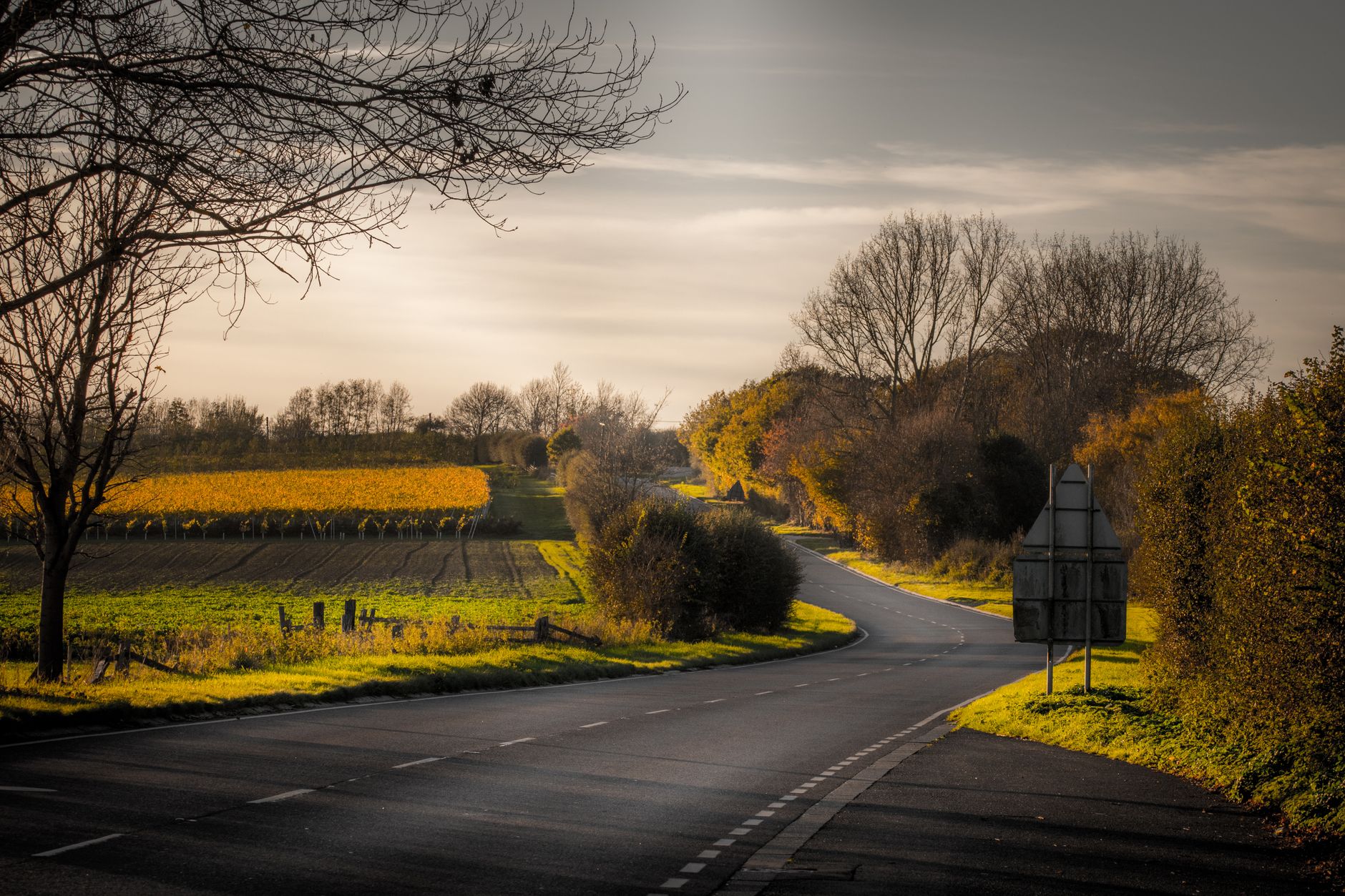 Field — Street, Field