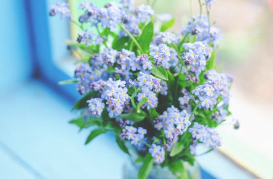 Image by Tamara Elnova