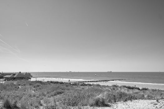Black and white seascape featuring a tranquil beach and vast ocean under a clear sky.