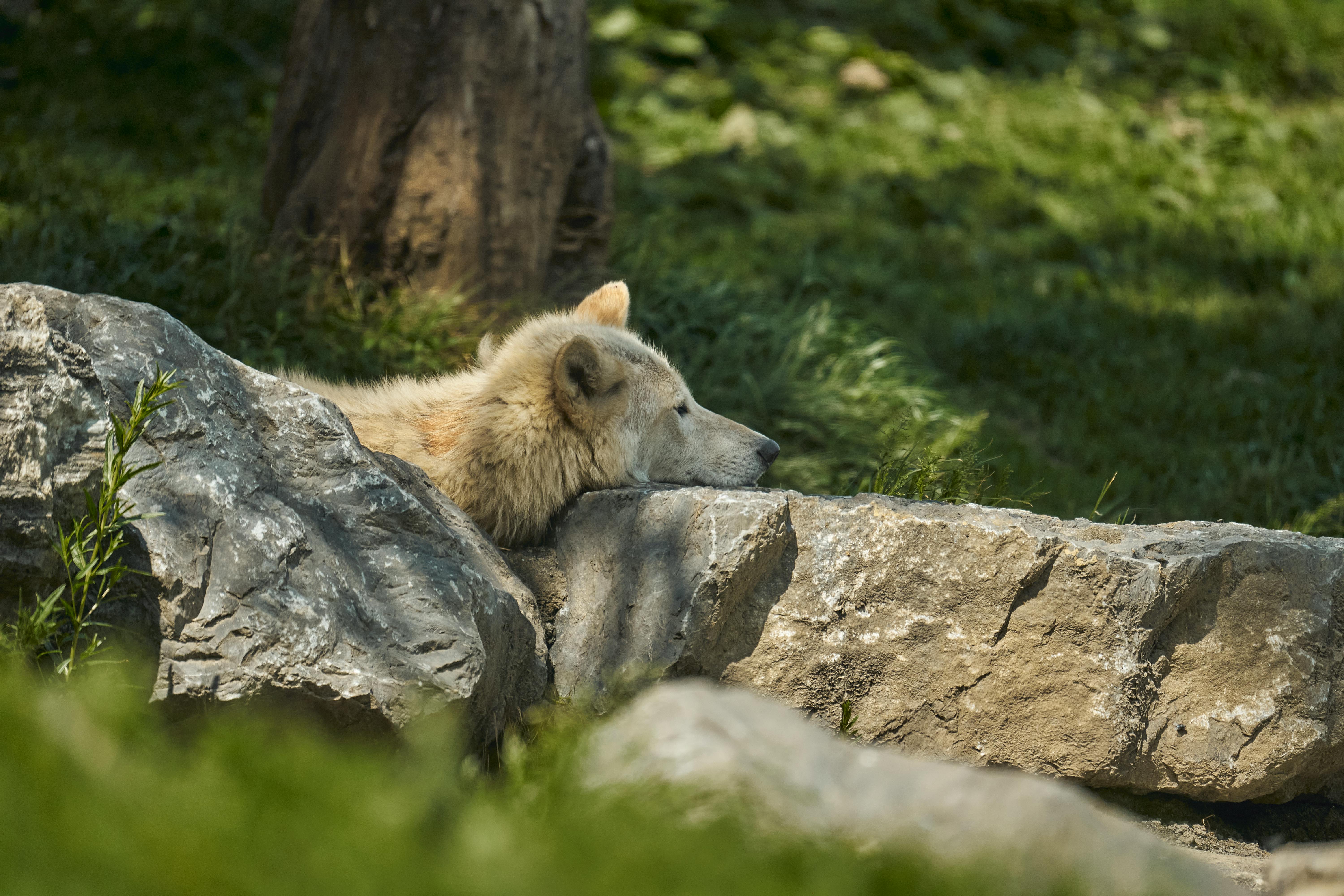 How do you prove someone is lying about you?