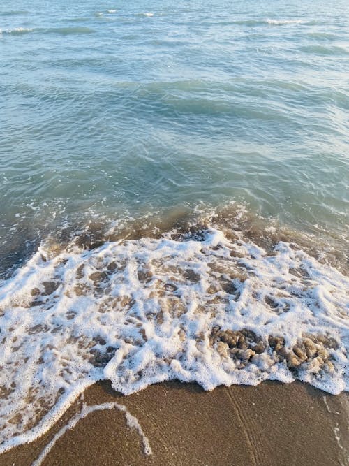 免费 垂直拍摄, 岸邊, 水 的 免费素材图片 素材图片