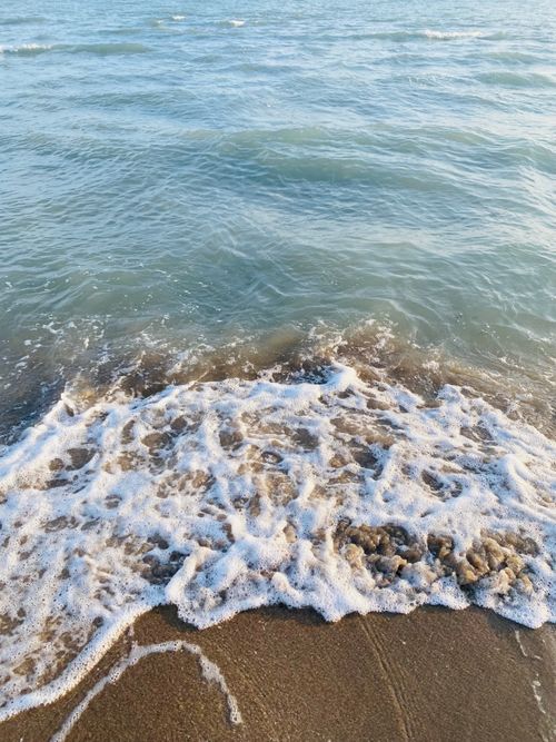 Free Calm ocean waves gently crash onto a sandy shore with seafoam in sunlight. Stock Photo