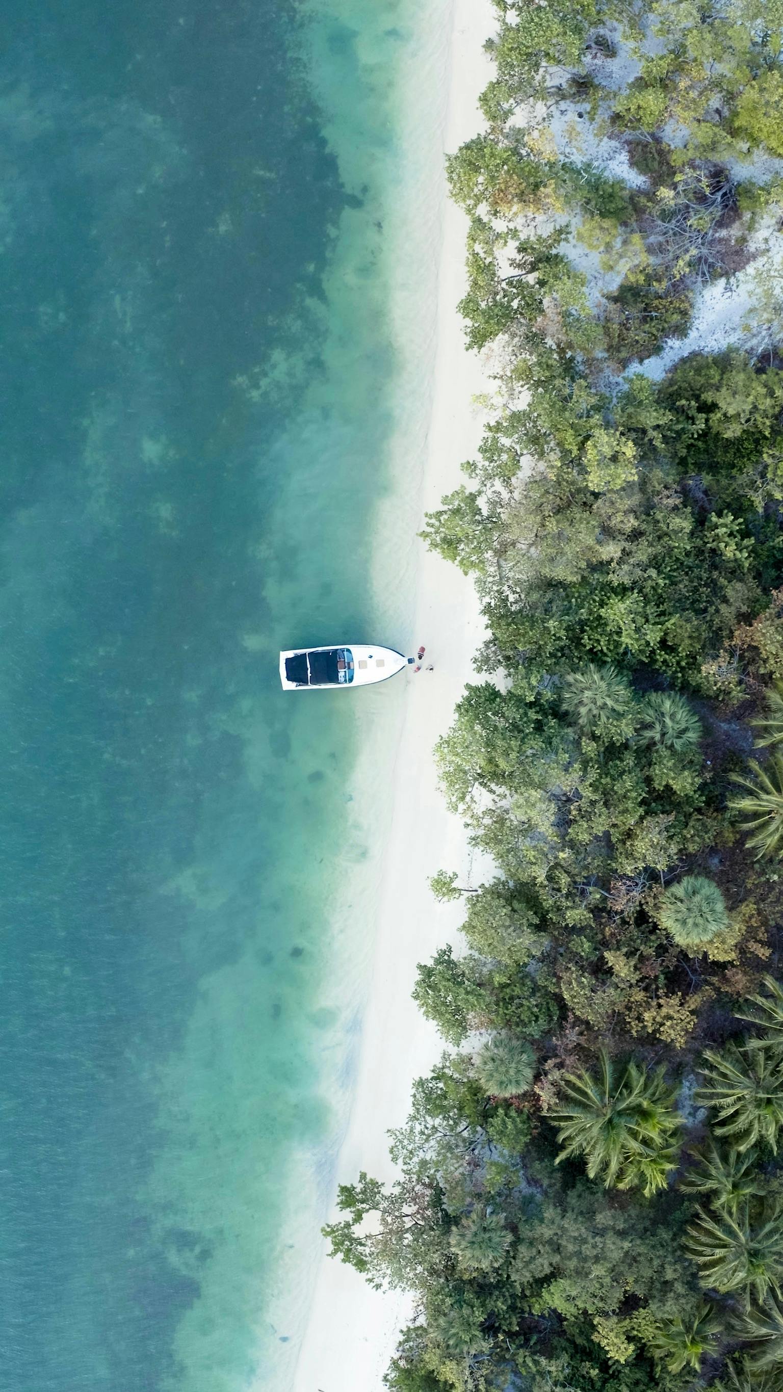raccoon island exploration