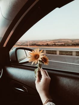 A serene car journey showcasing sunflowers held by a hand against a beautiful countryside view.