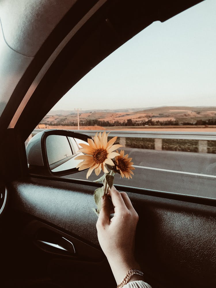 Hand Holding Flowers In Car