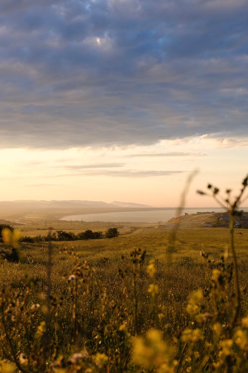 Fotos de stock gratuitas de campo de hierba, cielo nublado, pastura