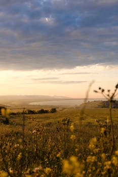 Beautiful grassy meadow under a dramatic cloudy sky with sunset hues and distant hills.