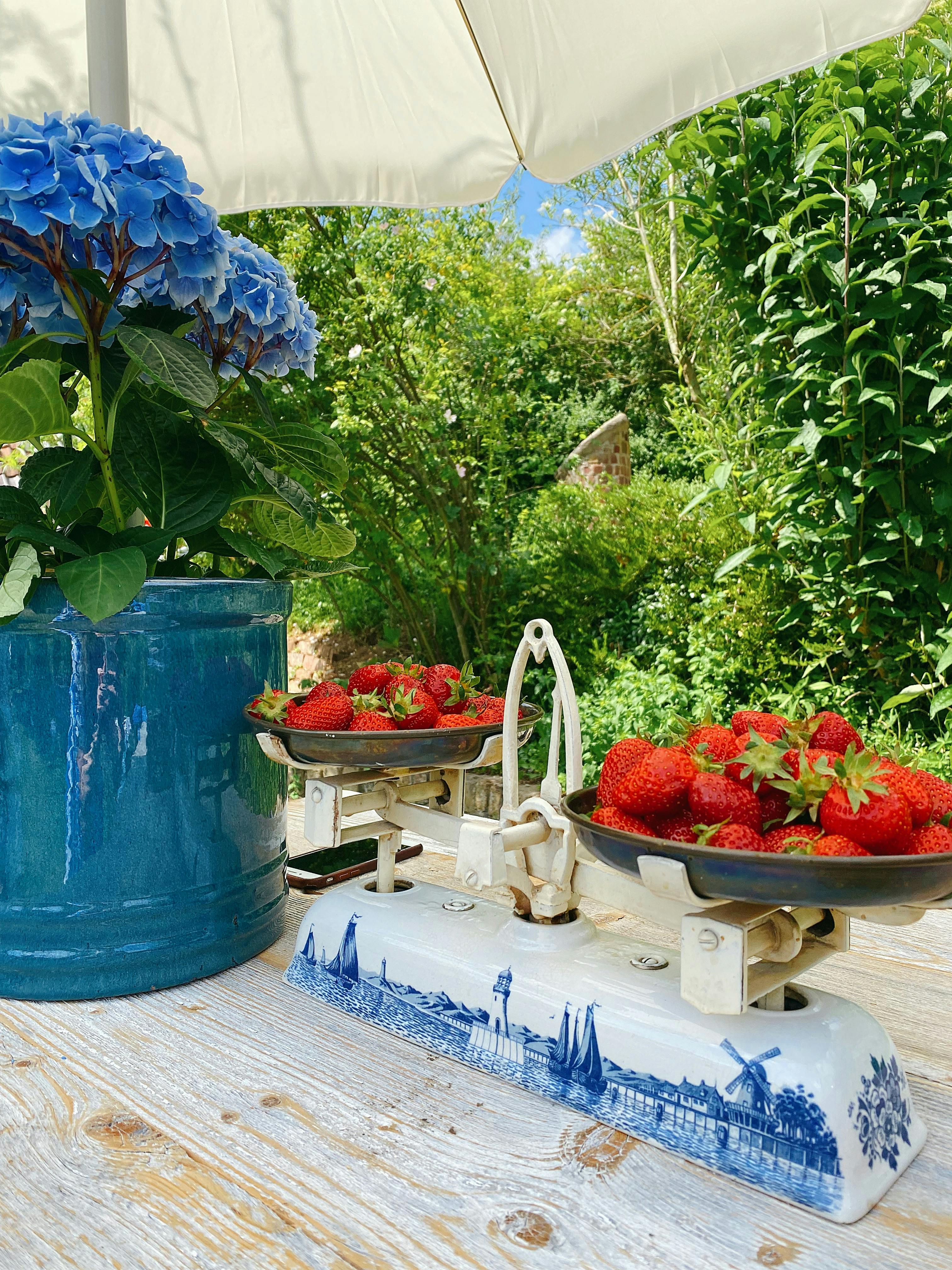 What is the fruit called PAPA?