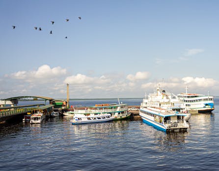 Manaus, Brazil photo 17