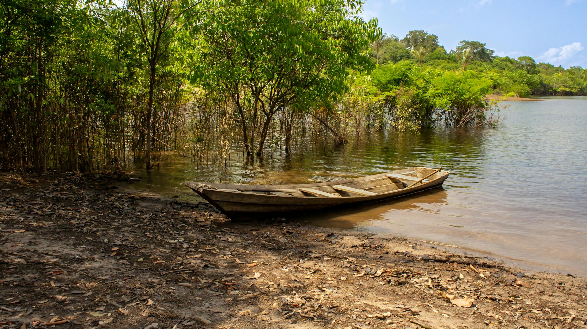 A traditional wooden canoe rests by the lush banks of a river in the Amazon rainforest, Brazil.