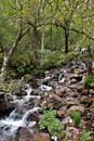 Scottish Highlands autumn landscapes