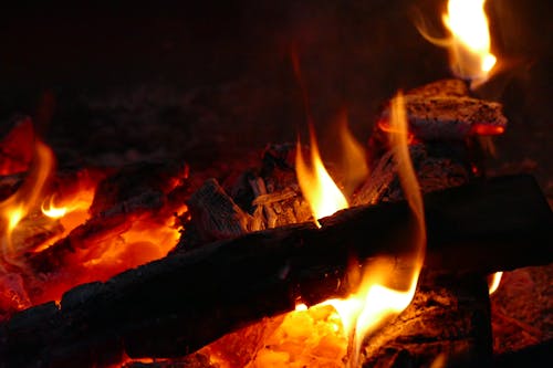 Burning Wood on Fire Pit in Close-up Photography