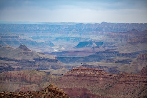 Free Grand Canyon Stock Photo