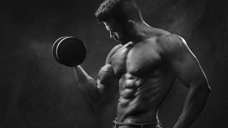 Professionelles Krafttraining
