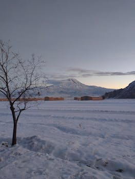 A serene winter landscape featuring a snow-covered field, bare tree, and distant mountain under a calm sky.