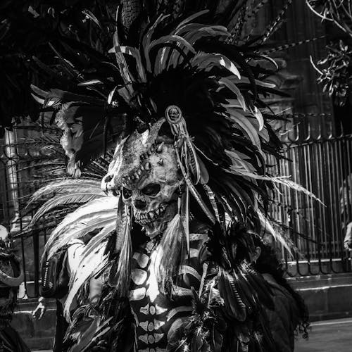 Abstract Horror Portrait of Person Wearing Skull Costume