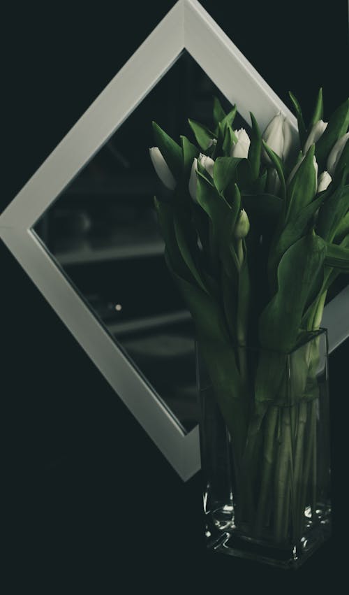 Gratis lagerfoto af glas vas, hvide blomster, lodret skud