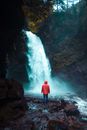 Man in Red Jacket Standing on Rock Near Waterfalls