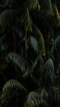 Dense greenery of tropical palm leaves capturing the depth of Singapore's jungle.