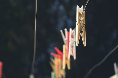 Shallow Photo of Hair Clips