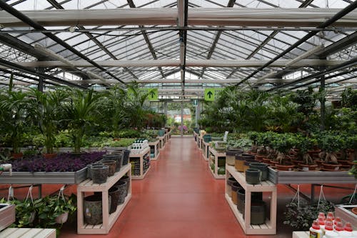 bahçe bakımı, bahçecilik, bitkiler içeren Ücretsiz stok fotoğraf