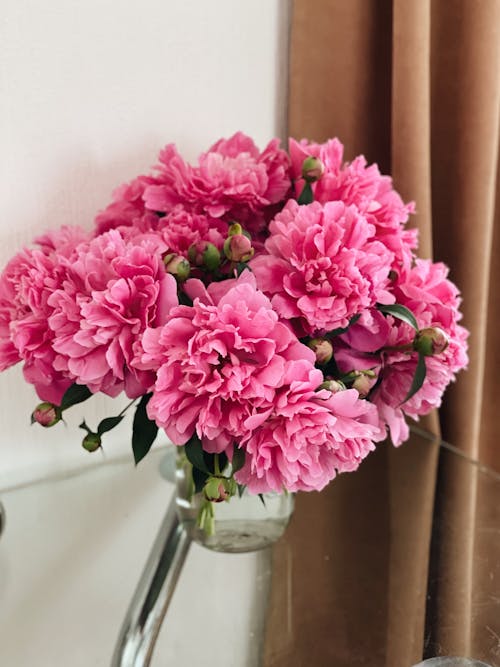 Immagine gratuita di avvicinamento, delicato, fiori rosa