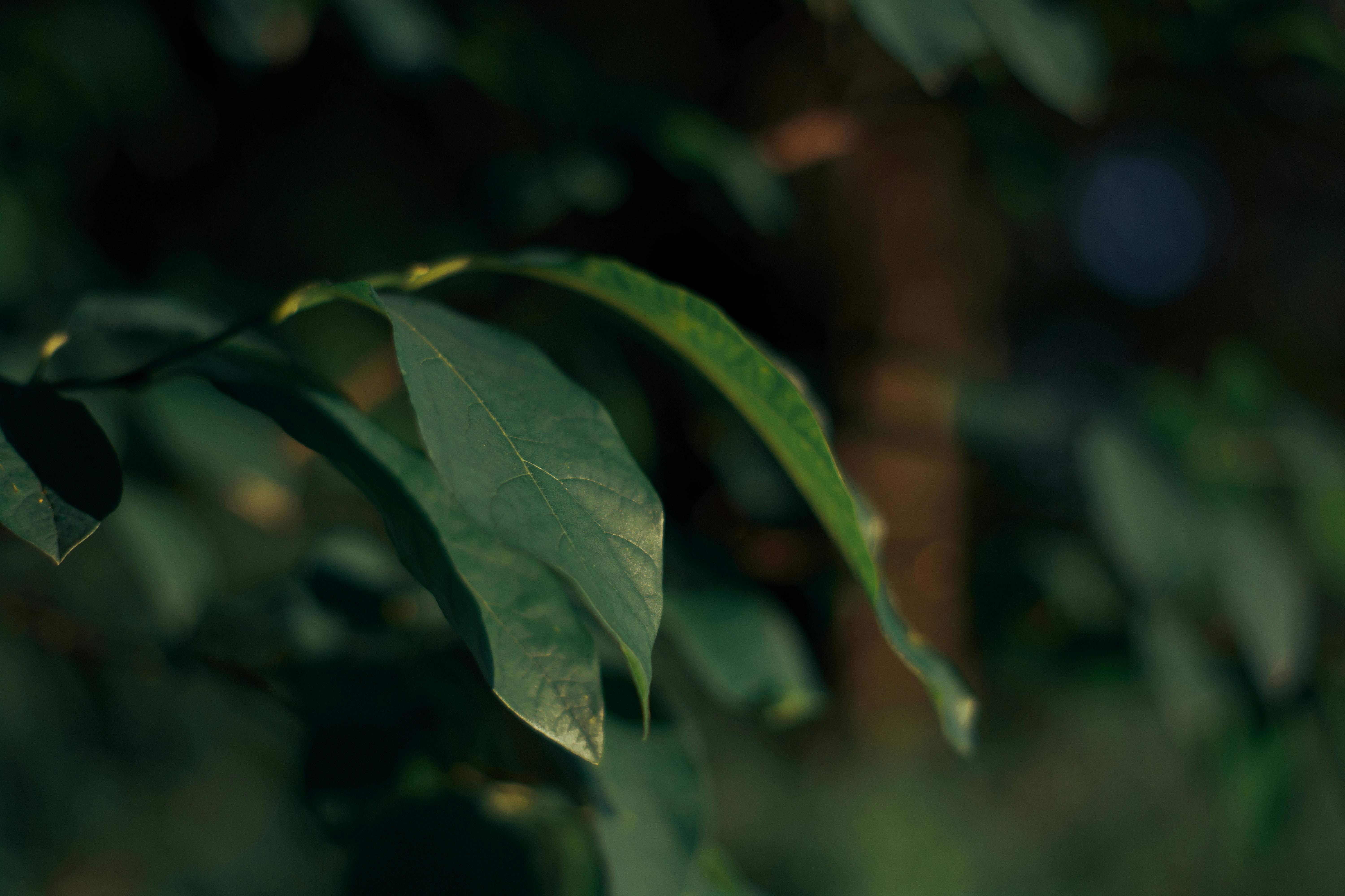 Fall Purge: Preparing‌ for‍ Cozy Months Ahead