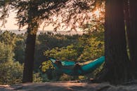 Person Lying on Hammock Between Trees at Daytime