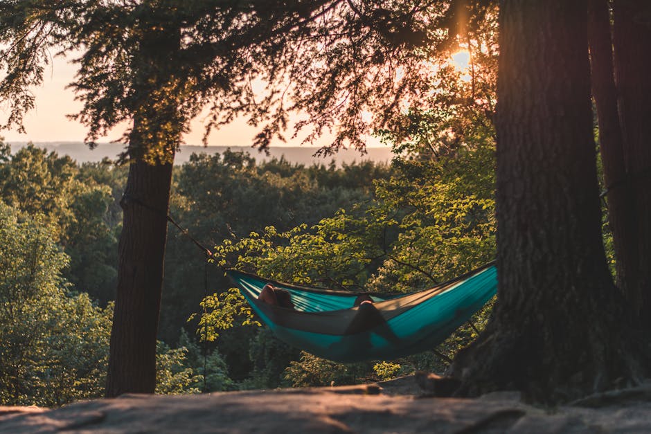 Serene scene of a person relaxing in a hammock amidst a sunlit forest, capturing tranquility.