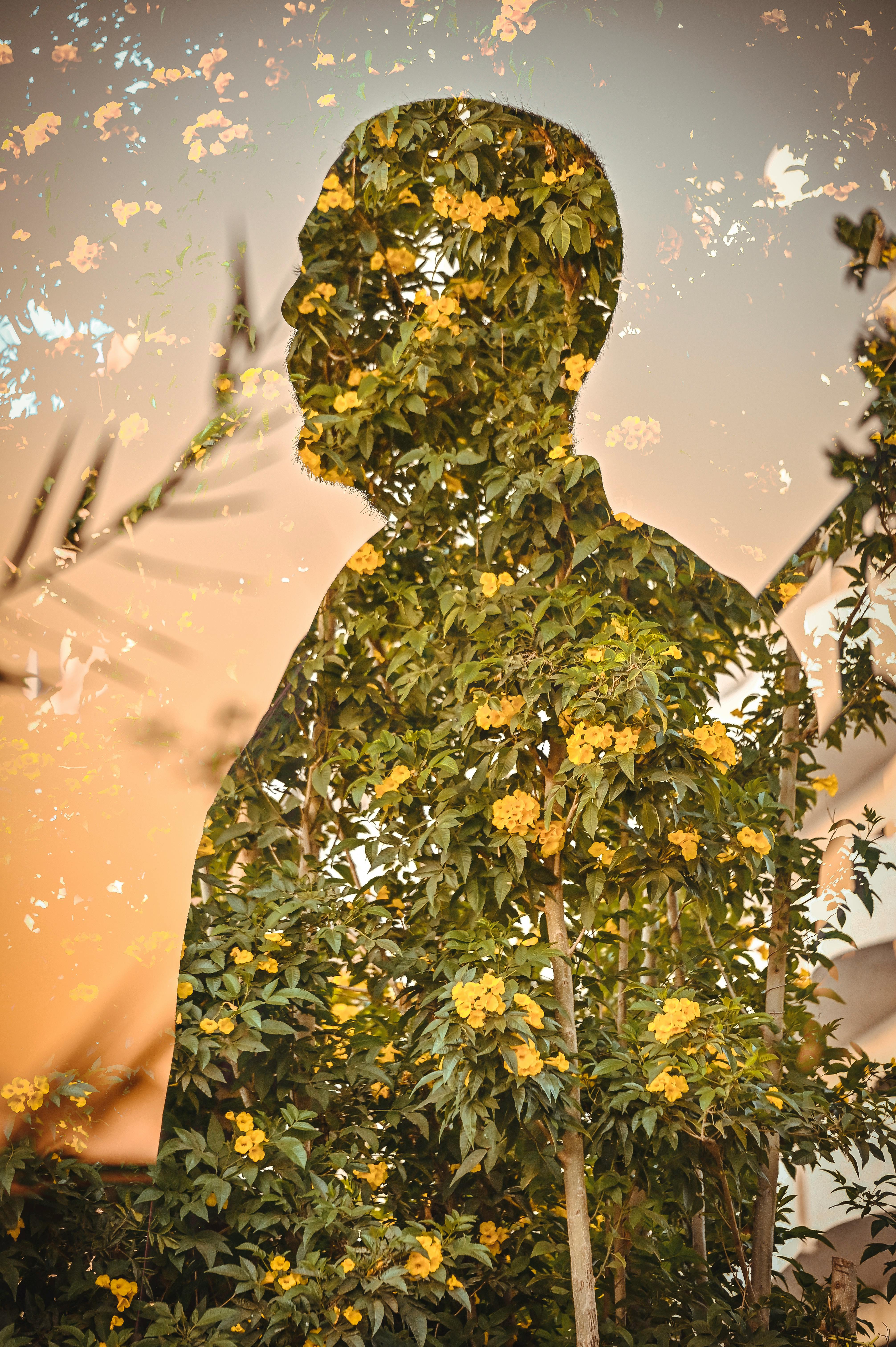 Artistic blend of a man's silhouette filled with green leaves and yellow flowers for a unique visual effect.