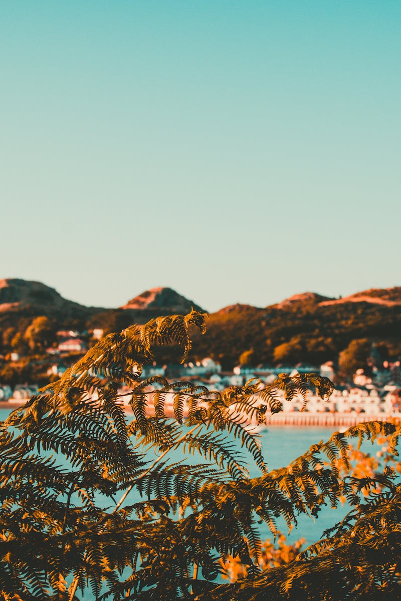 Getting Started In Stock Photography