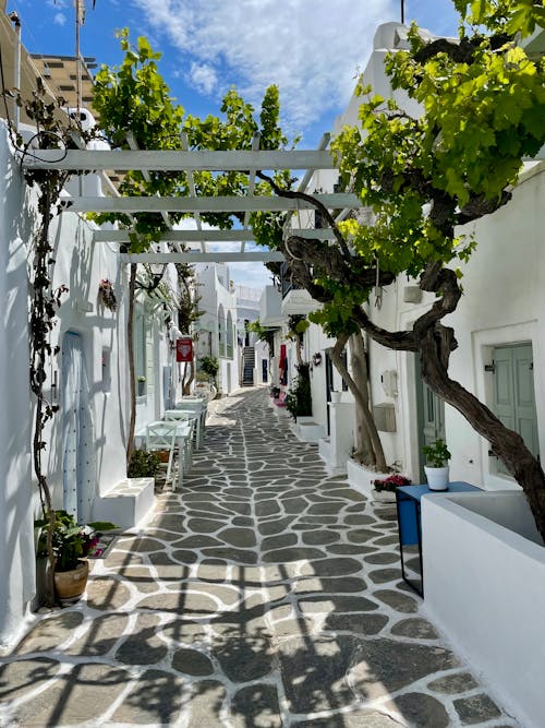 Fotobanka s bezplatnými fotkami na tému budovy, domy, Grécko