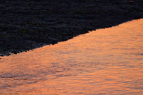 Fotobanka s bezplatnými fotkami na tému oranžová, prúd, ráno