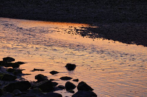 Fotobanka s bezplatnými fotkami na tému connecticut, oranžová, prúd