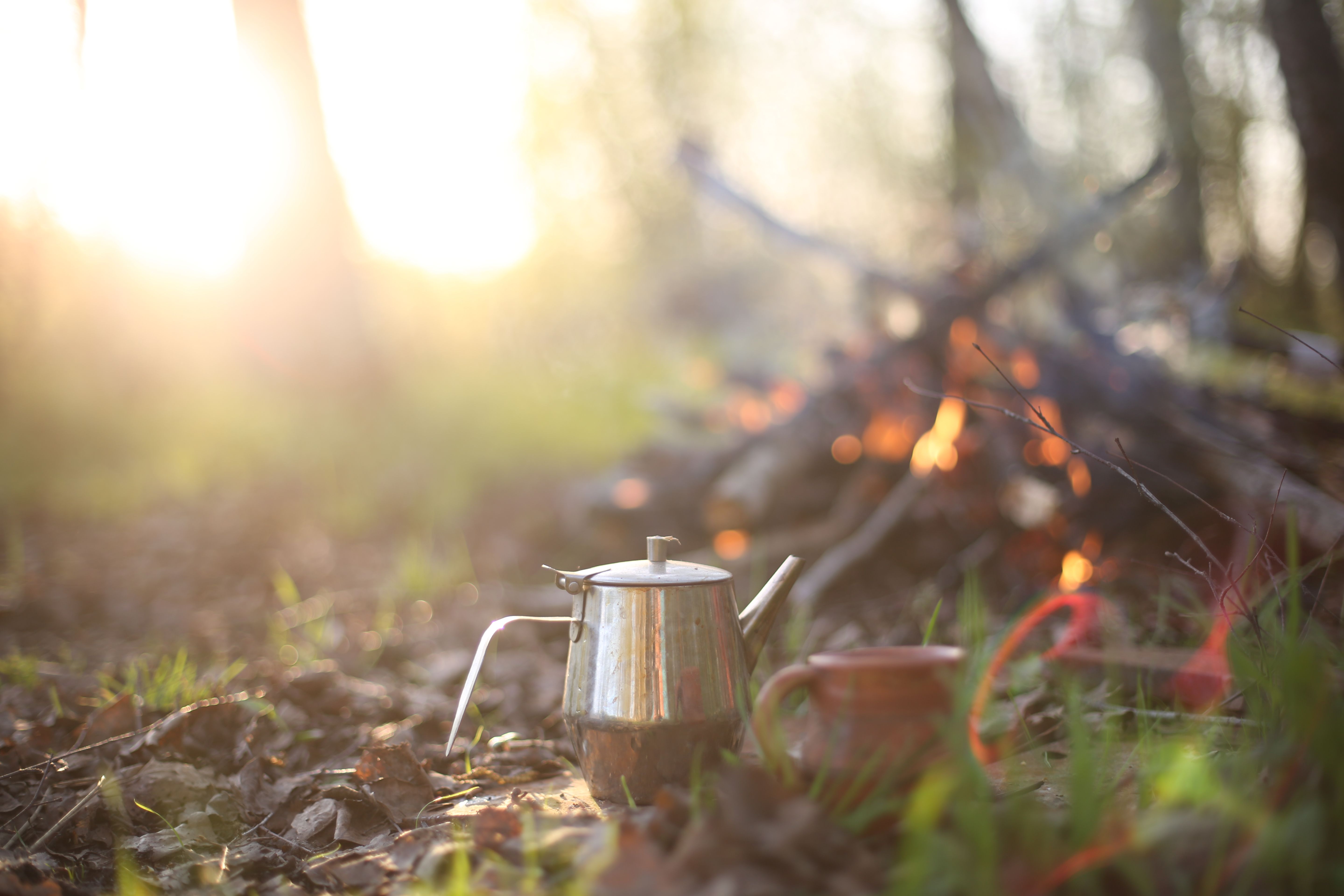 Warm outdoor setting of a teapot and campfire in a sunlit forest clearing.