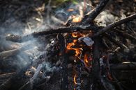 Burning Wood on Fire Pit