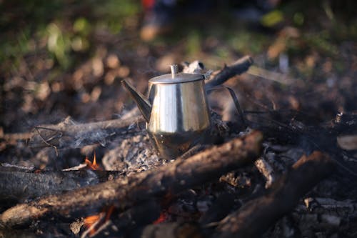 Silver Teapot on Brown Wood Log