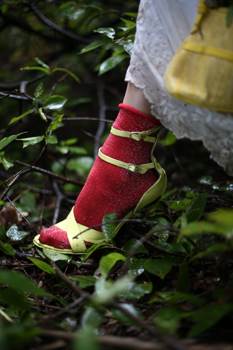 Close-up Of A Woman Foot In High Heels Stepping Through Forest Ground 