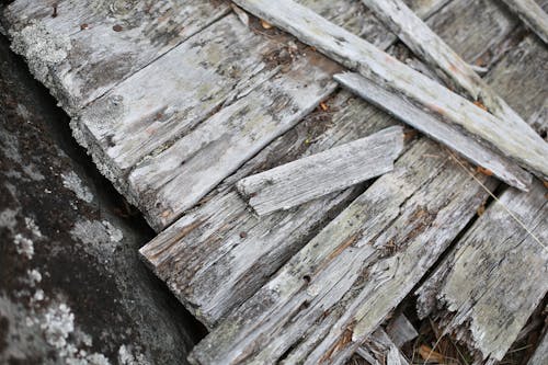 Free Close-up of Broken Wood Logs Stock Photo
