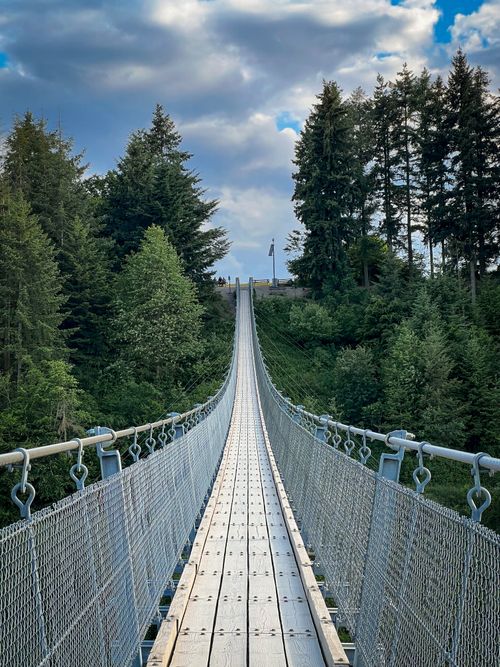 Free A breathtaking view of a suspension bridge stretching through a lush forest under a vibrant sky. Stock Photo