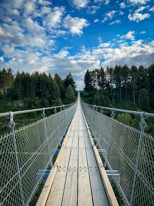 Free A Hanging Bridge in the Forest Stock Photo