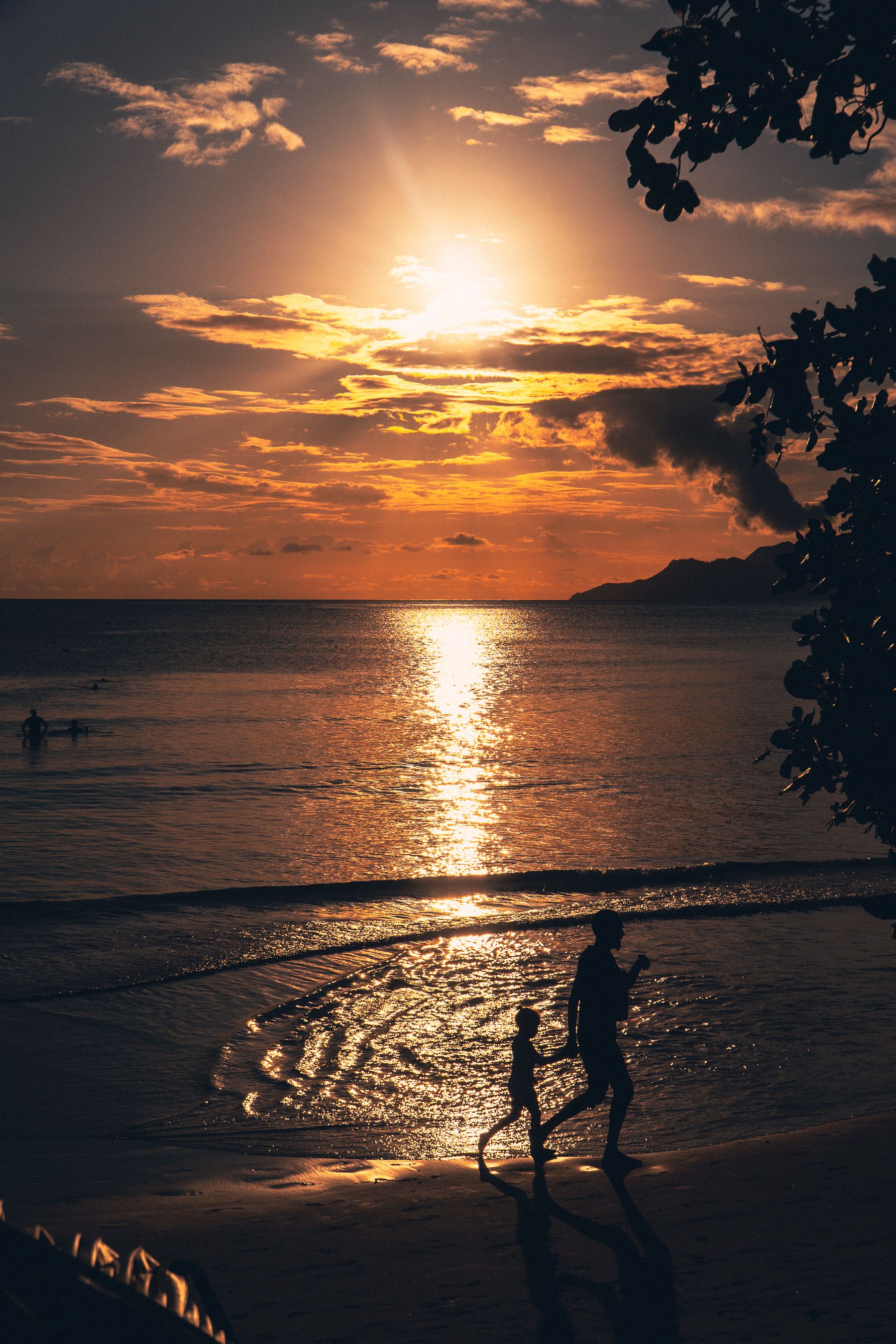 Silhouette of People Walking on the Beach during Sunset · Free Stock Photo